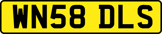 WN58DLS