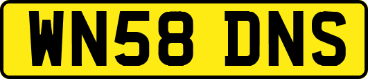 WN58DNS