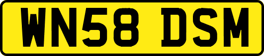 WN58DSM