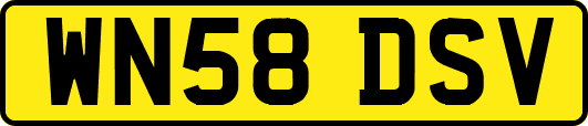 WN58DSV