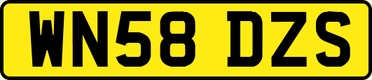 WN58DZS