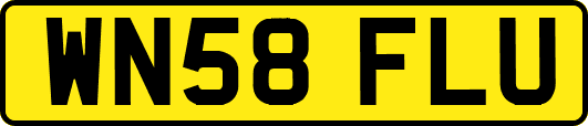 WN58FLU