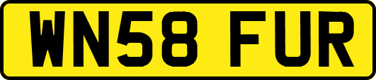 WN58FUR