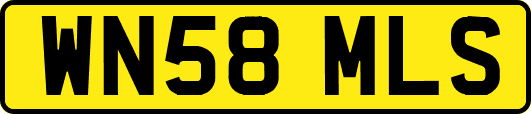 WN58MLS