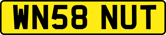 WN58NUT