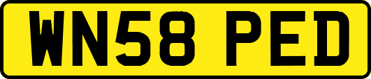 WN58PED