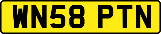 WN58PTN