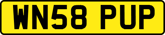 WN58PUP