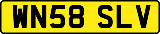 WN58SLV