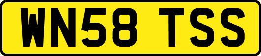 WN58TSS