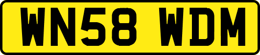 WN58WDM