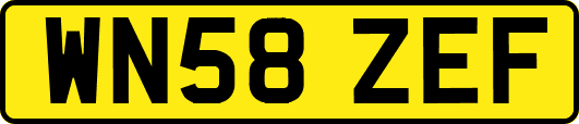 WN58ZEF