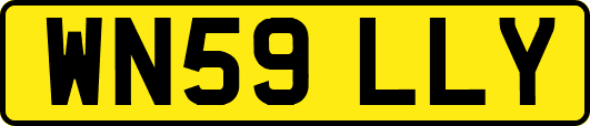 WN59LLY