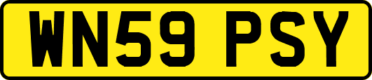 WN59PSY