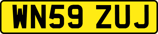 WN59ZUJ