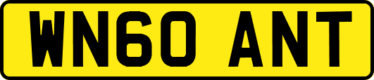 WN60ANT