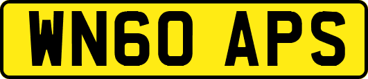 WN60APS