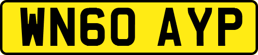 WN60AYP