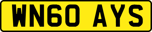 WN60AYS