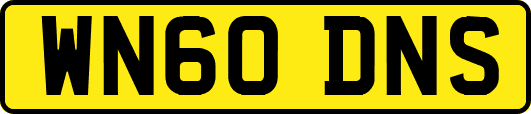 WN60DNS