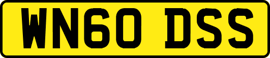 WN60DSS