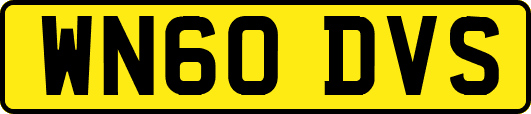 WN60DVS