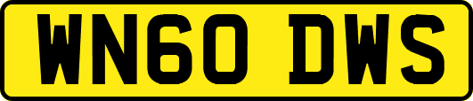 WN60DWS