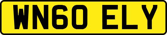 WN60ELY