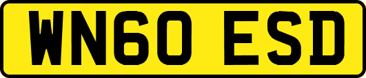 WN60ESD