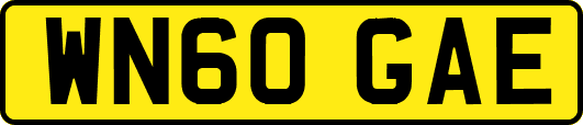WN60GAE