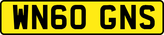 WN60GNS