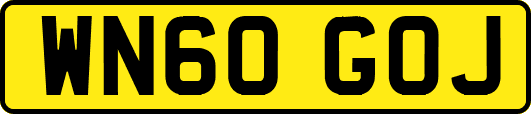 WN60GOJ