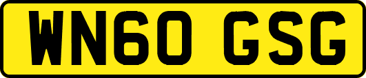 WN60GSG