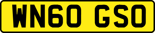 WN60GSO