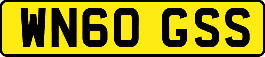 WN60GSS