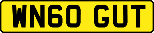 WN60GUT