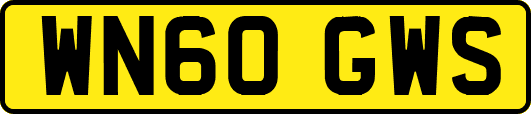 WN60GWS