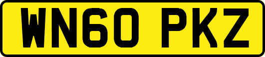 WN60PKZ