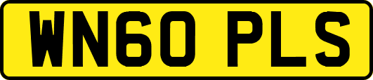 WN60PLS