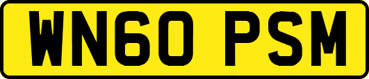 WN60PSM