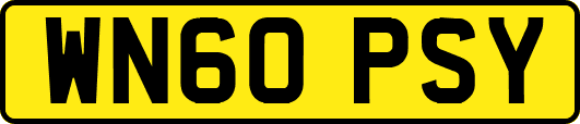 WN60PSY