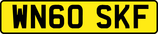WN60SKF