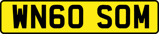 WN60SOM