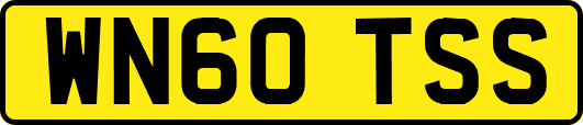 WN60TSS