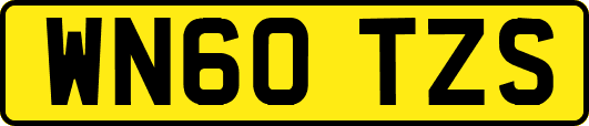 WN60TZS