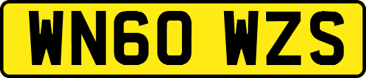 WN60WZS