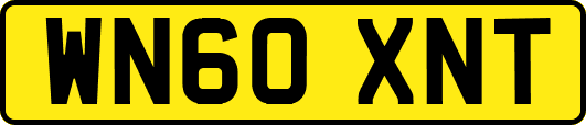 WN60XNT