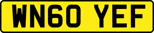 WN60YEF
