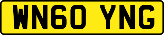 WN60YNG