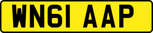 WN61AAP